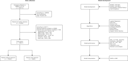 Interpretable machine studying for predicting sepsis threat in emergency triage sufferers